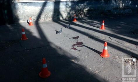 В Кривом Роге бабушка выпала из окна своей квартиры