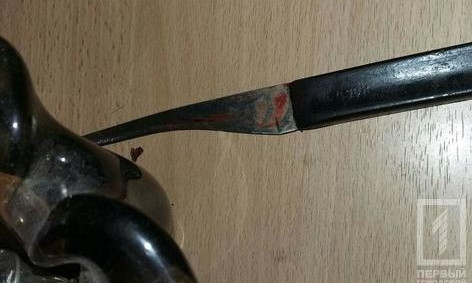 В Кривом Роге пьяный муж едва не зарезал свою жену