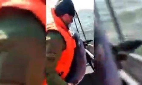 Военные пограничники записали на видео операцию спасения дельфиненка в Азовском море