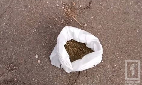 За хранение марихуаны криворожанину грозит 3 года тюрьмы