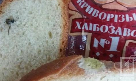 Хлеба и зрелищ: криворожанка нашла в буханке плесень и муху