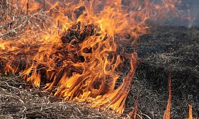 Пожар в Кривом Роге: горят 40 га сухостоя