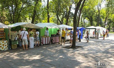 Фестиваль меда и гонки на выживание: где отдохнуть криворожанам в субботу?