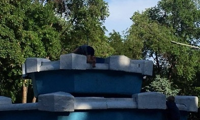 Фотофакт: в Металлургическом районе осушили любимое место купания детей