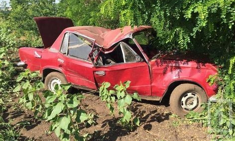 Под Кривым Рогом "ВАЗ" врезался в дерево, есть пострадавшие 