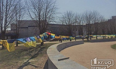 Кривой Рог объединился национальными флагами