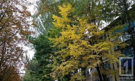 В Кривом Роге "бабье лето" продолжается