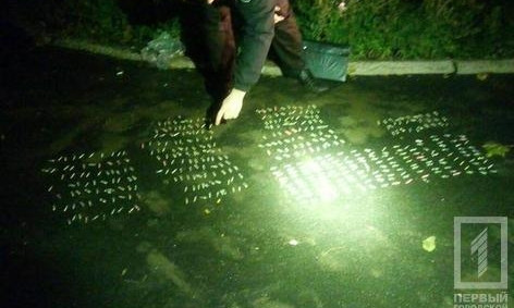 В Кривом Роге полицейские задержали водителя с крупной партией метамфетамина