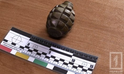 В Кривом Роге грузин получил условный срок за то, что угрожал жене гранатой