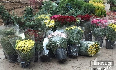 В Долгинцевском районе обустроят рокарий