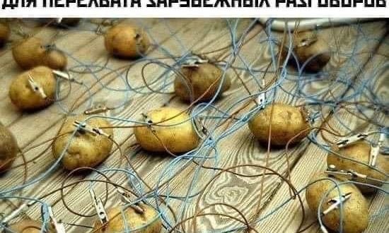 Соцсети отреагировали яркими мемами на сообщение о перехвате "крепким орешком" Лукашенко разговора Варшавы и Берлина