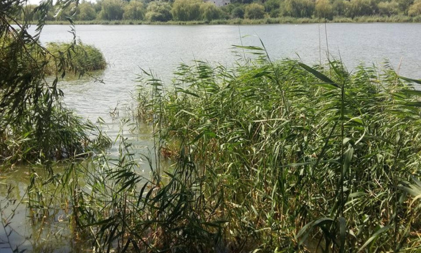 В реке Саксагань массово погибает рыба