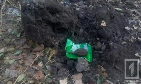 В Кривом Роге пассажир маршрутки ехал с гранатой без чеки