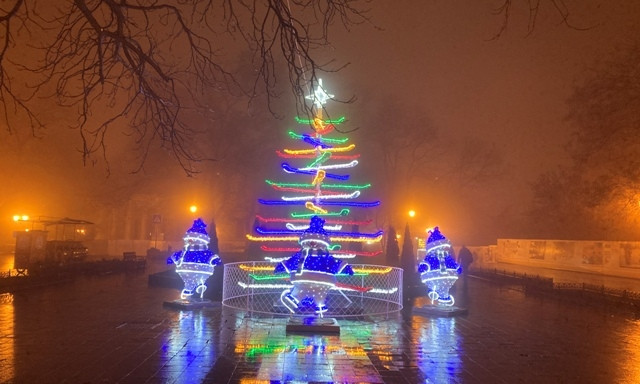 В Одессе появилась самая необычная елка-лыжница (ФОТО)