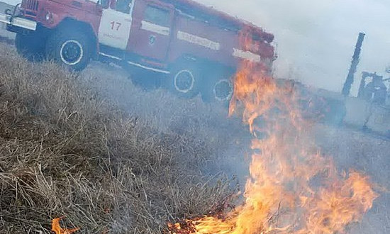 В Кривом Роге загорелся сухостой