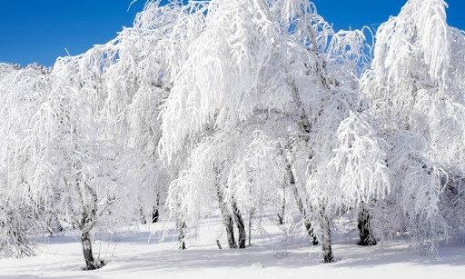 Украинцы делятся завораживающими снимками заснеженных городов (ФОТО)
