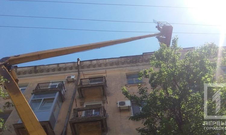 Работники спили ветку почетного дерева ради собственной безопасности