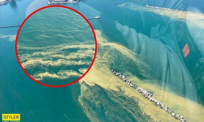 Черное море стало зеленым и непригодным для купания