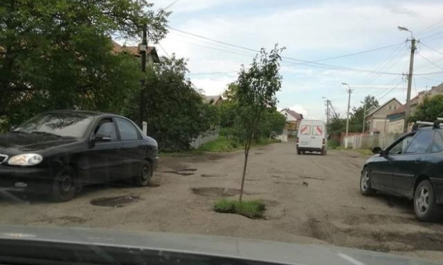 Сельский курьез: как закарпатцы привлекают внимание к убитым дорогам