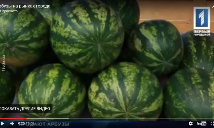 Вкуснейшая ягода родом из Африки: арбузы на рынках Кривого Рога