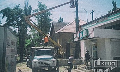 В Кривом Роге "лесорубы-браконьеры" напали на мужчину