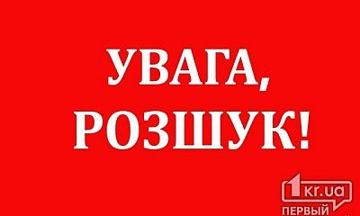 К поиску пропавшей Амины Менго присоединяются неравнодушные криворожане