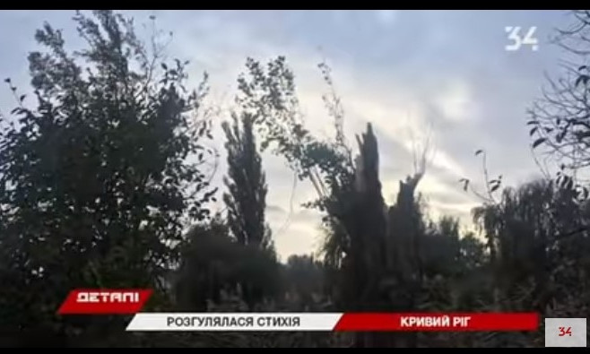 Деревопад в Кривом Роге: к каким разрушениям привела непогода?
