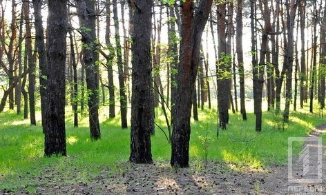 В Днепропетровской области официально стартовал сезон охоты