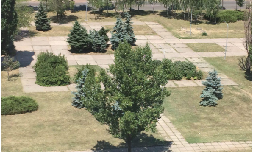 Фотофакт: Неужто сквер в Кривом Роге привели в порядок?