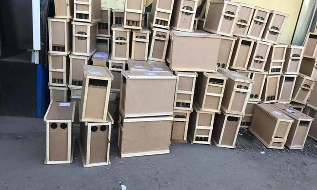 На Закарпатье во время доставки "Укрпочтой" погибло 8 миллионов пчел: пчеловоды собираются судиться (ФОТО)