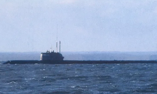На российской секретной подлодке погибли 14 моряков. Кремль назвал информацию "государственной тайной"