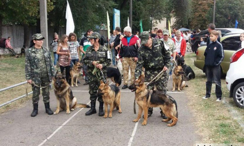 В Кривом Роге прошла выставка собак "Кубок металлурга-2017"