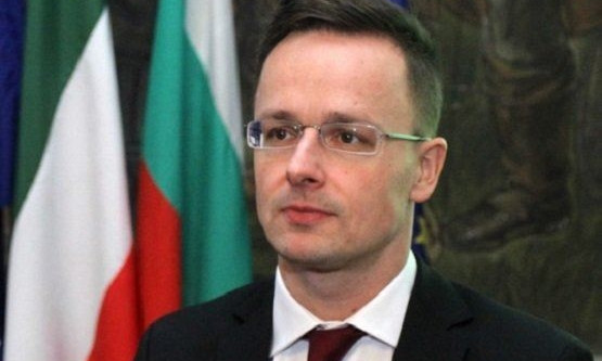 Глава венгерского МИД в день выборов в Украине агитировал закарпатцев голосовать за венгерскую партию