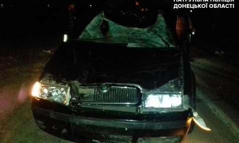 Коня сбили насмерть на трассе под Мариуполем