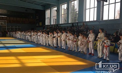 Криворожские спортсмены заняли призовые места по джиу-джитсу