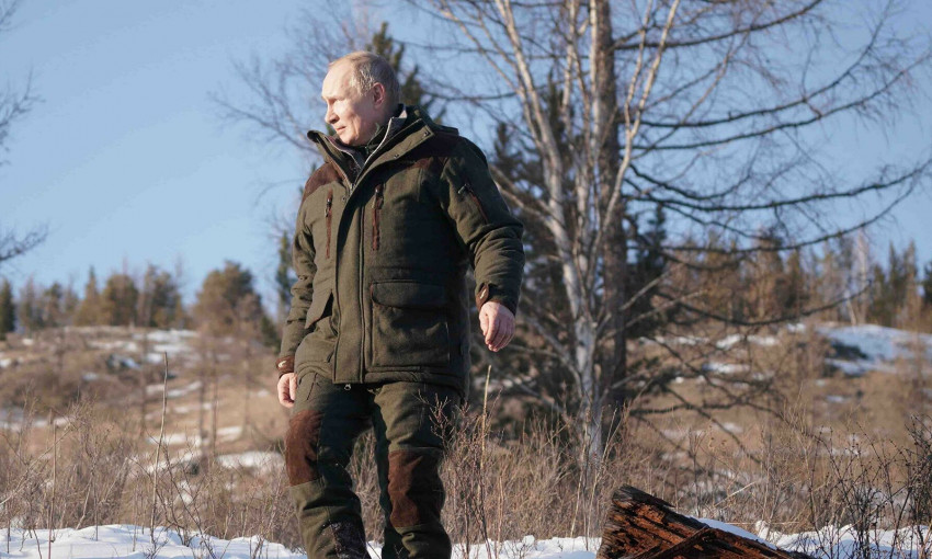 В лагерь к Владимиру Путину в Сибири нагрянули медведи