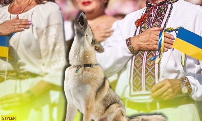Пес, который "подпевал" во время исполнения гимна Украины, "разорвал" соцсети (ВИДЕО)