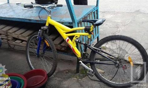 В Кривом Роге мужчина ромской национальности украл у женщины велосипед