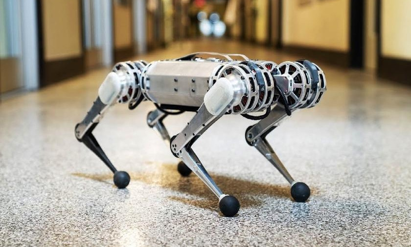 Четвероногий робот Mini Cheetah теперь умеет делать сальто (ВИДЕО)