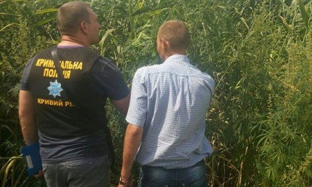 В Криворожском районе местный житель взращивал плантацию конопли