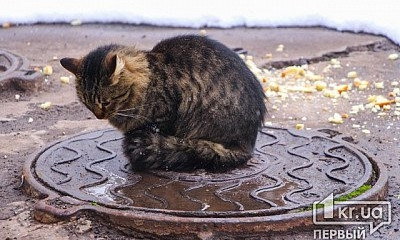 Криворожанам на заметку: в октября в Украине возможен снег