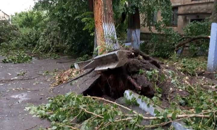 Под Одессой ураган вырывал деревья с асфальтом, в воздухе летали крыши (ФОТО)