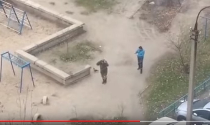 Запорожця атакувала ворона: відео