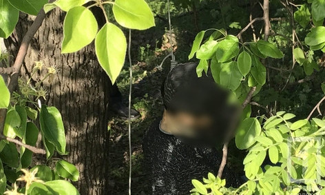 В посадке на "Восточном-1" нашли повешенного мужчину