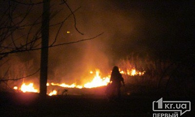В Долгинцевском районе пожар: горел сухостой