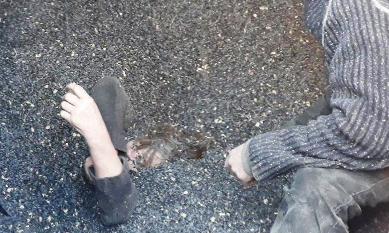 Сельчанку с головой затянуло в цистерну с семечками