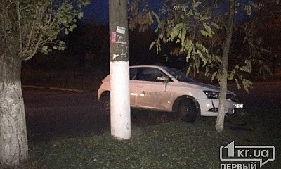 Снова ДТП: в Кривом Роге авто вылетело на обочину