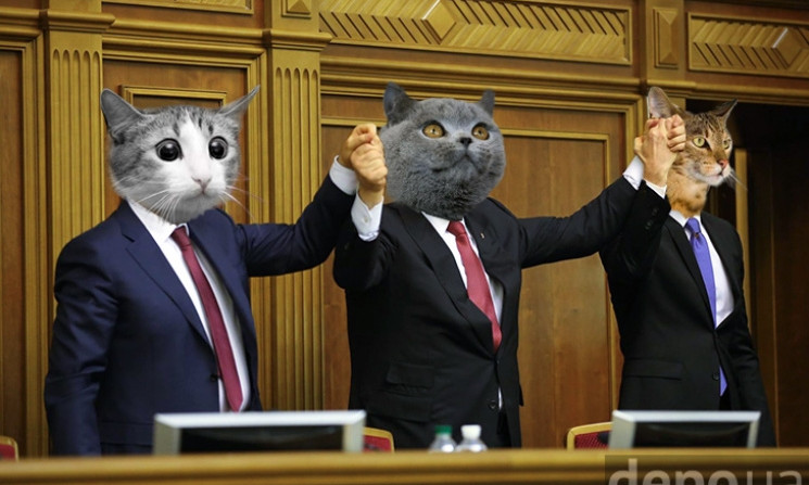 Владу в країні – котам! Смішні фотожаби до Дня котиків