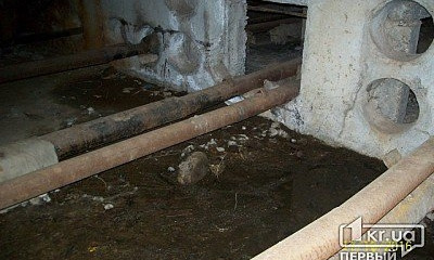 Подвал по улице Балакина уже два месяца заливает нечистотами
