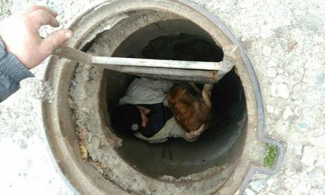 В Кривом Роге патрульные спасли собаку